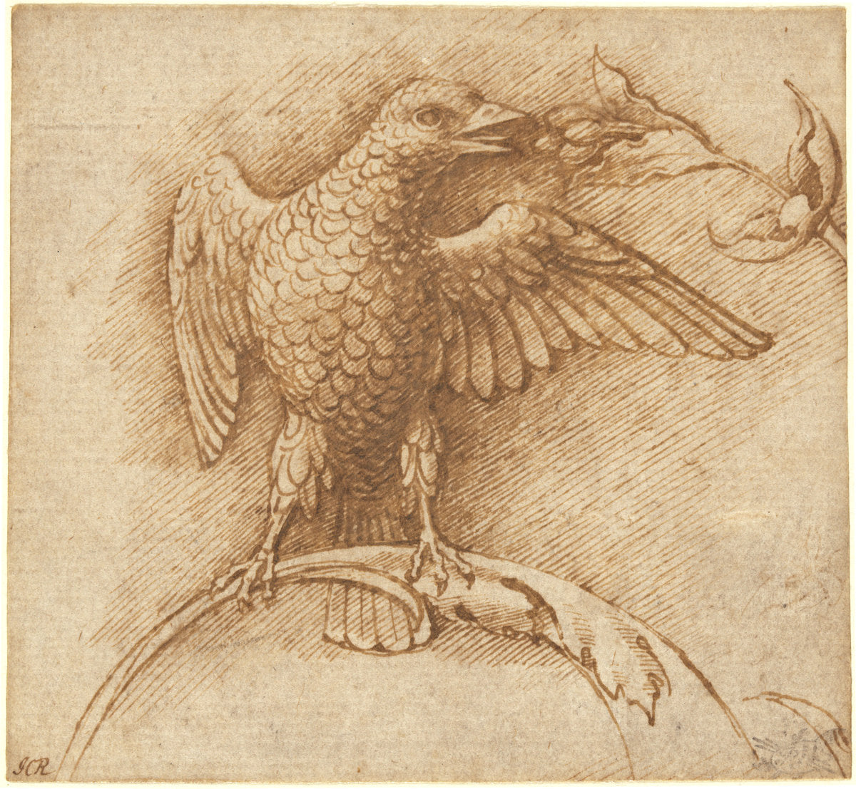 A Bird Perched on a Branch with Fruit by Andrea Mantegna (Paduan, c. 1431 - 1506), 16X12"(A3)Poster Print