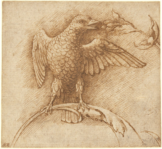 A Bird Perched on a Branch with Fruit by Andrea Mantegna (Paduan, c. 1431 - 1506), 16X12"(A3)Poster Print