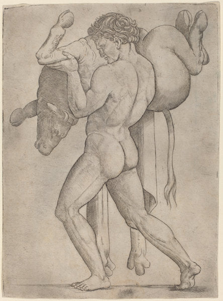 Hercules and the Cretan Bull by Giovanni Antonio da Brescia (Italian, active c. 1490 - 1525 or after), 16X12"(A3)Poster Print