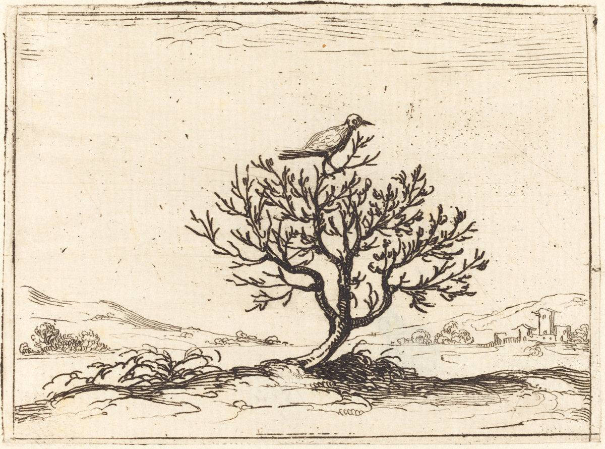 Nightingale in a Bush by Jacques Callot (French, 1592 - 1635), 16X12"(A3)Poster Print