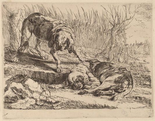 Two Beagles, One Sleeping by Jan Fyt (Flemish, 1611 - 1661), 16X12"(A3)Poster Print