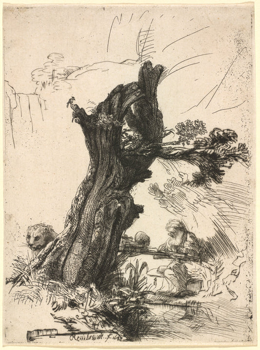 Saint Jerome beside a Pollard Willow by Rembrandt van Rijn (Dutch, 1606 - 1669), 16X12"(A3)Poster Print