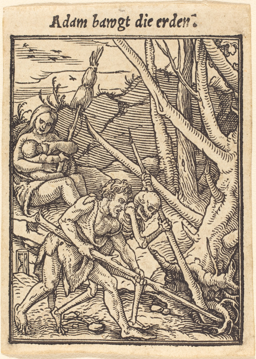Adam Cultivating by Hans Holbein the Younger (German, 1497/1498 - 1543), 16X12"(A3)Poster Print