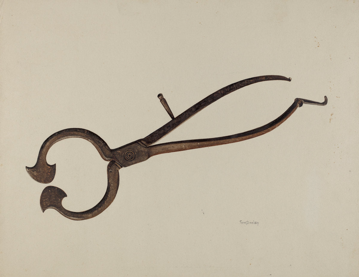 Loaf Sugar Cutter by Thomas Dooley (American, active c. 1935), 16X12"(A3)Poster Print