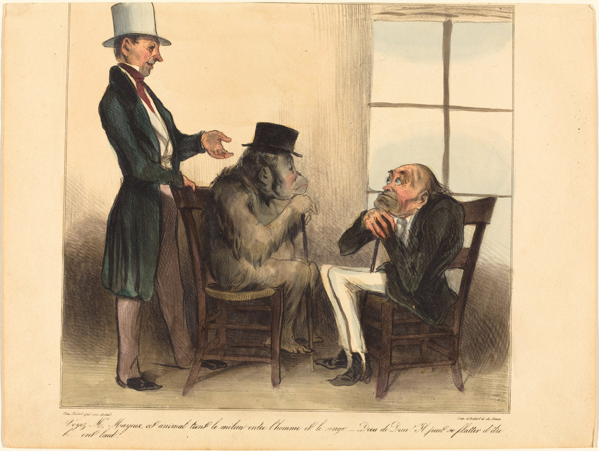 Voyez, Mr. Mayeux, cet animal... by Honoré Daumier (French, 1808 - 1879), 16X12"(A3)Poster Print