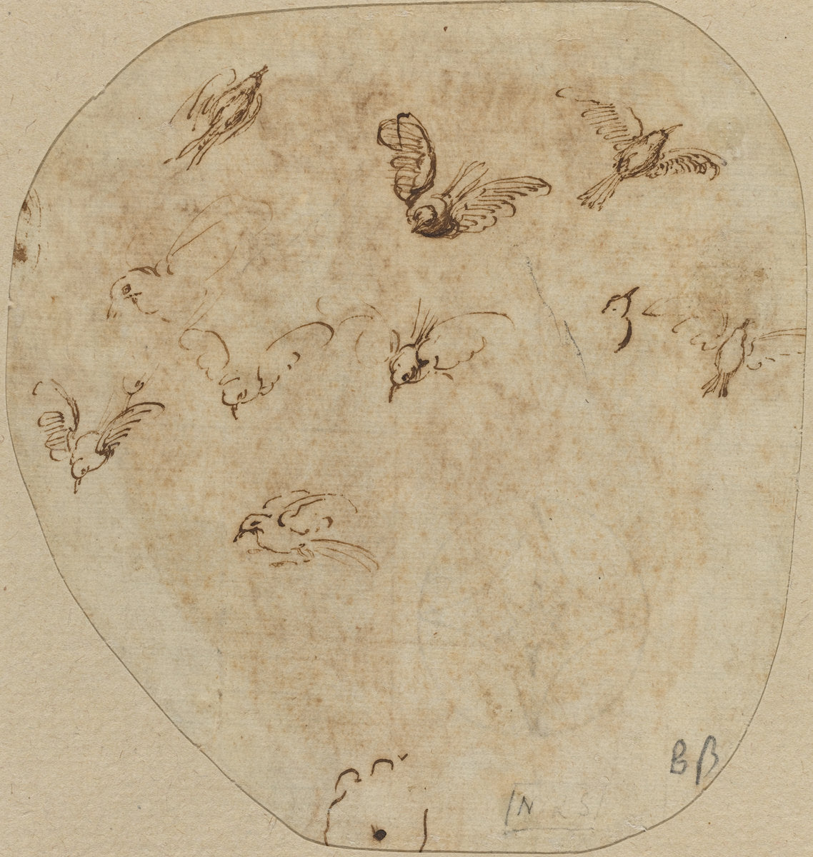 Birds in Flight [verso] by Attributed to Girolamo Mazzola Bedoli (Italian, c. 1500 - 1569), 16X12"(A3)Poster Print