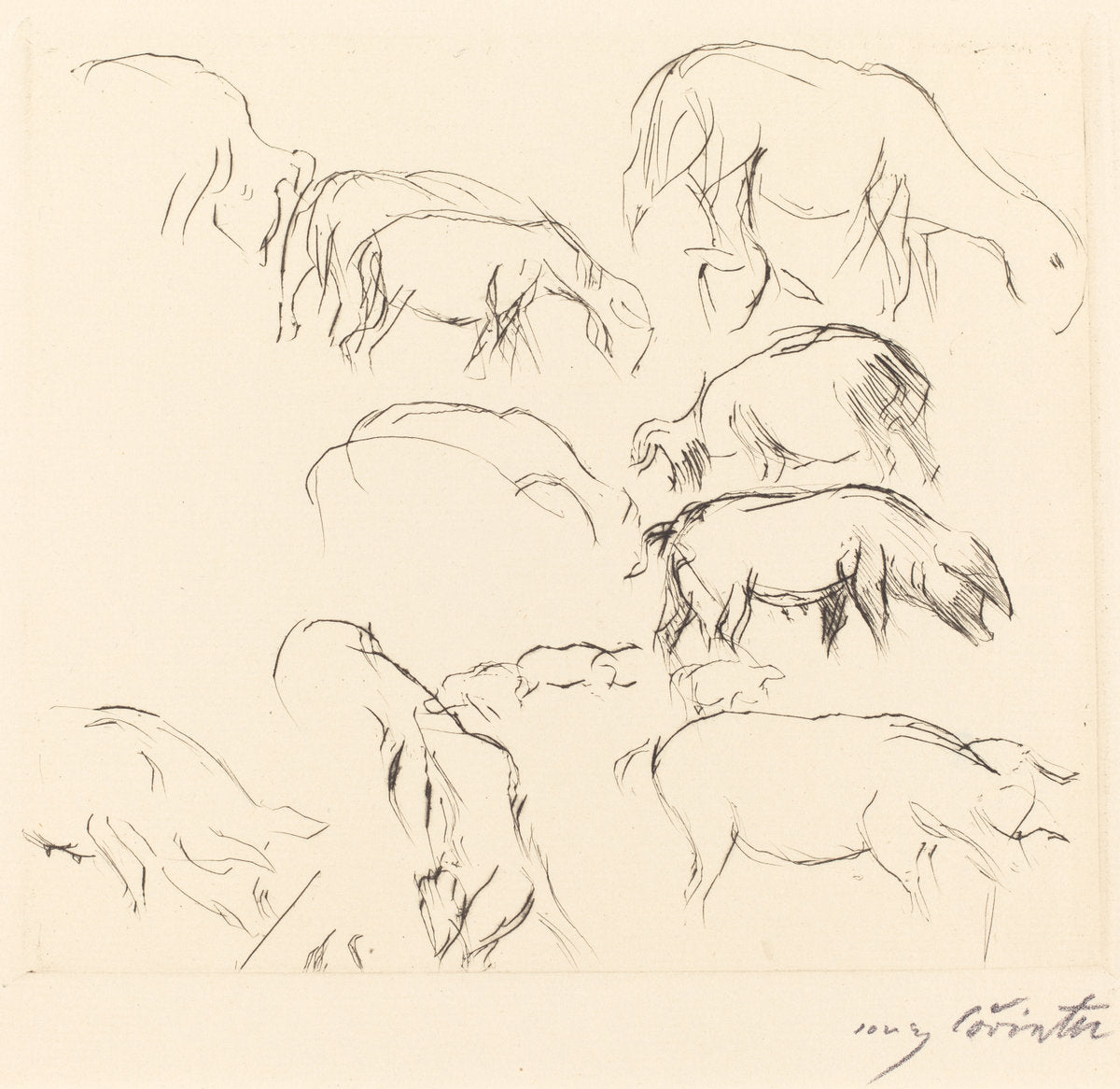 Animal Studies (Verschiedene Tierstudien) by Lovis Corinth (German, 1858 - 1925), 16X12"(A3)Poster Print