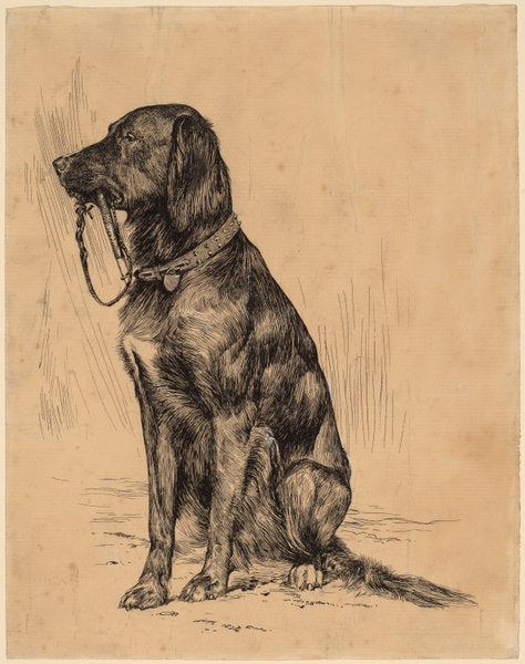 Aldrich's Dog by Arthur B. Davies (American, 1862 - 1928), 16X12"(A3)Poster Print