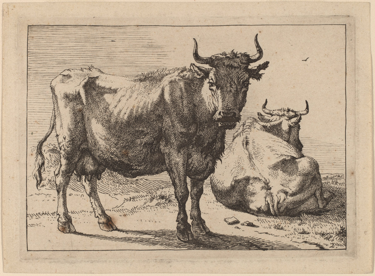 A Cow Standing and Another Lying Down by Paulus Potter (Dutch, 1625 - 1654), 16X12"(A3)Poster Print