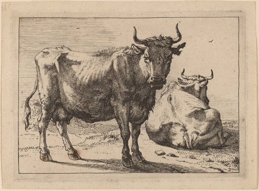 A Cow Standing and Another Lying Down by Paulus Potter (Dutch, 1625 - 1654), 16X12"(A3)Poster Print