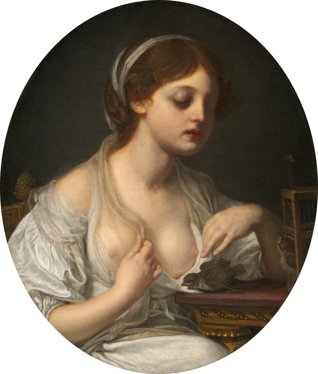 c. 1780/1782 by Circle of Jean-Baptiste Greuze (Girl with Birds), 16X12"(A3)Poster Print