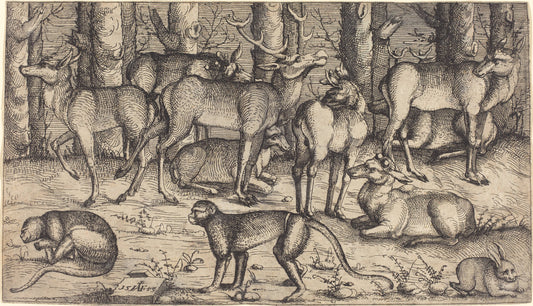 Stags in the Forest by Augustin Hirschvogel (German, 1503 - 1553), 16X12"(A3)Poster Print
