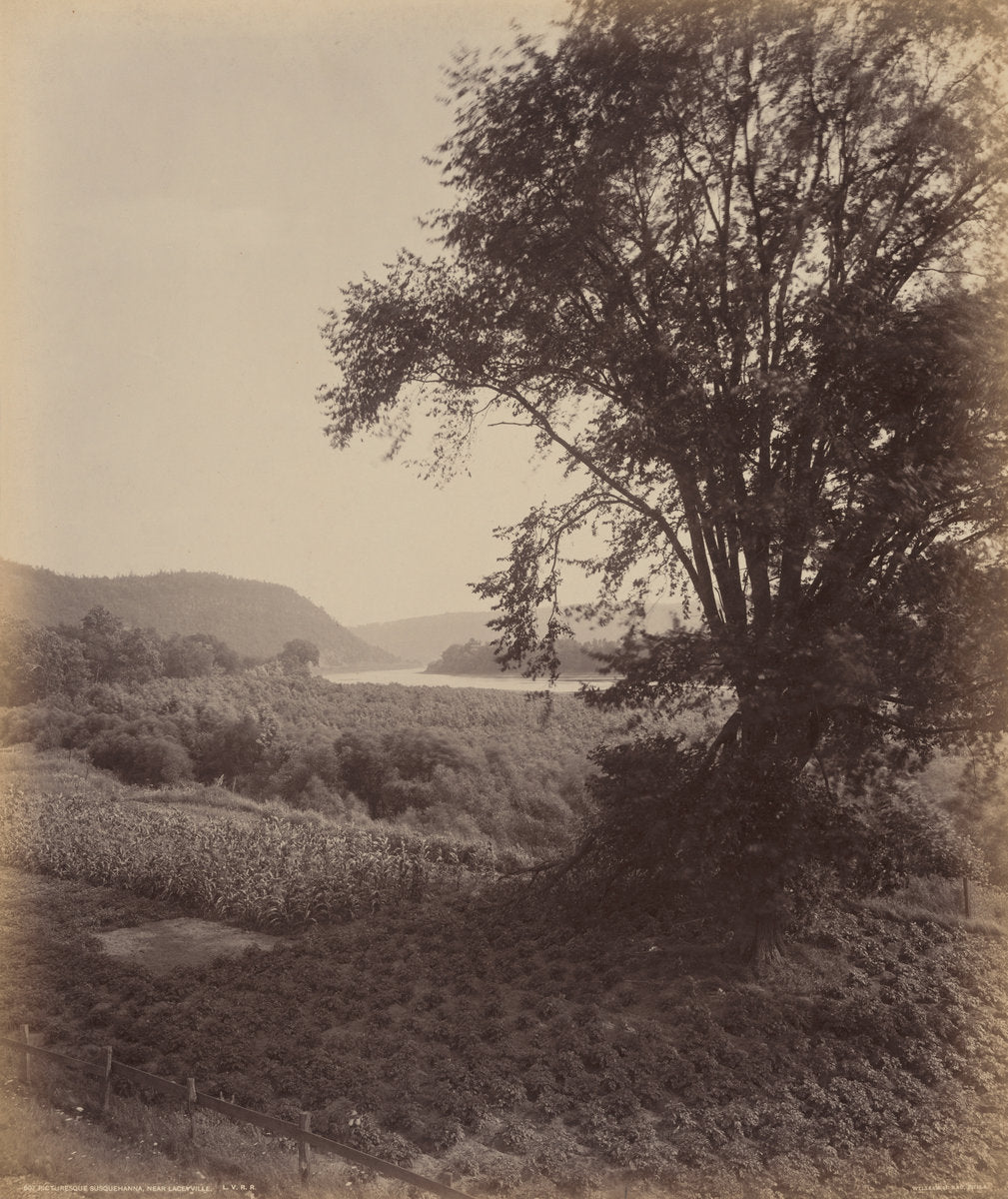 Picturesque Susquehanna, Near Laceyville by William H. Rau (American, 1855 - 1920), 16X12"(A3)Poster Print