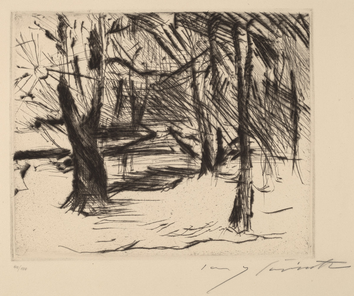 Trees with the Sun (Winter in the Tiergarten) by Lovis Corinth (German, 1858 - 1925), 16X12"(A3)Poster Print