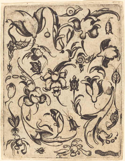 Ornament by Master T.F. (French, active probably 16th century), 16X12"(A3)Poster Print