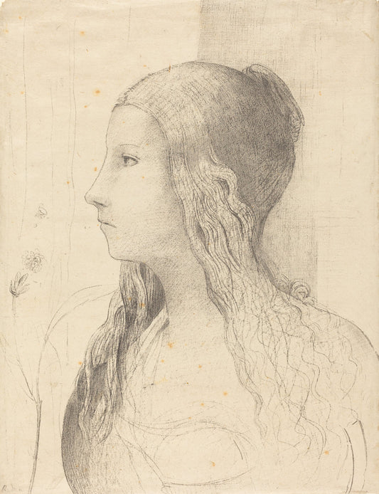 Brunnhilde by Odilon Redon (French, 1840 - 1916), 16X12"(A3)Poster Print