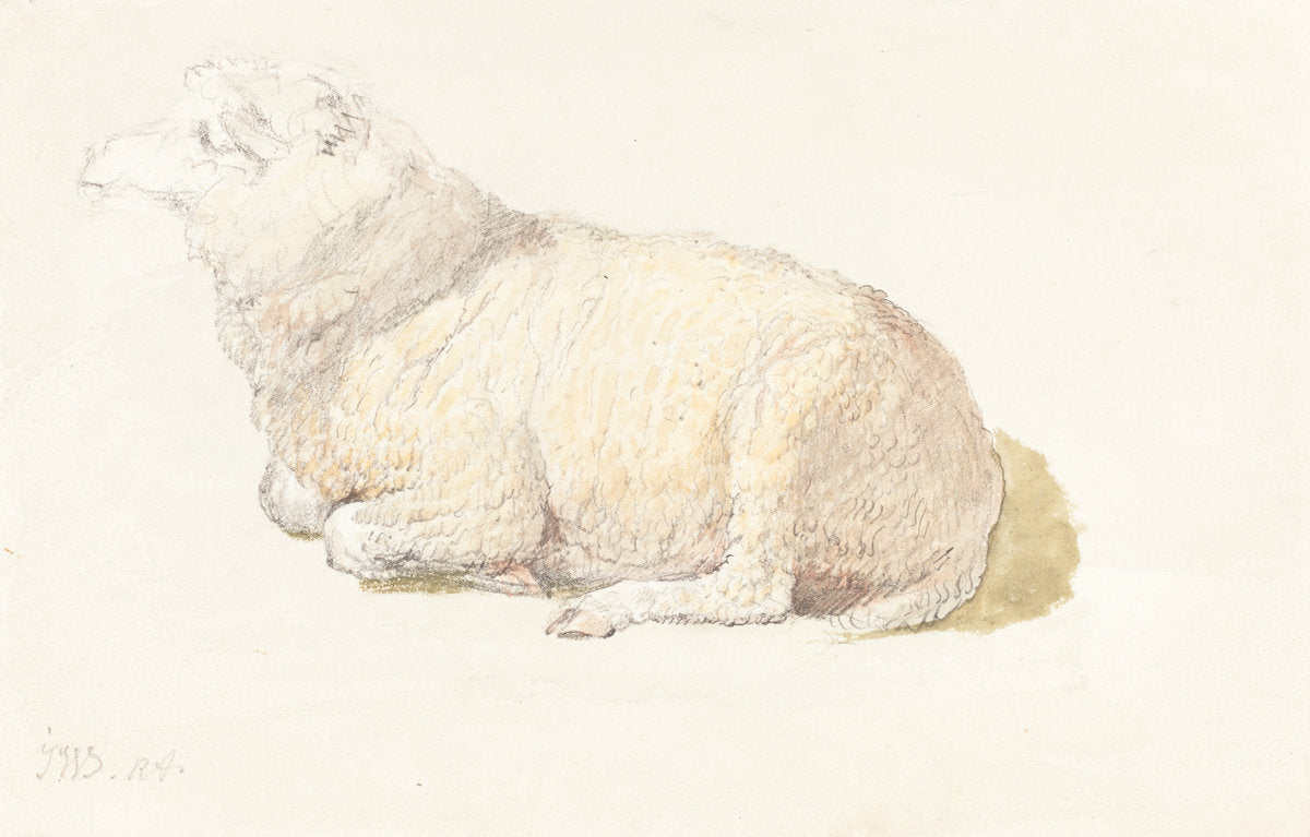 A Sheep Resting by James Ward (British, 1769 - 1859), 16X12"(A3)Poster Print