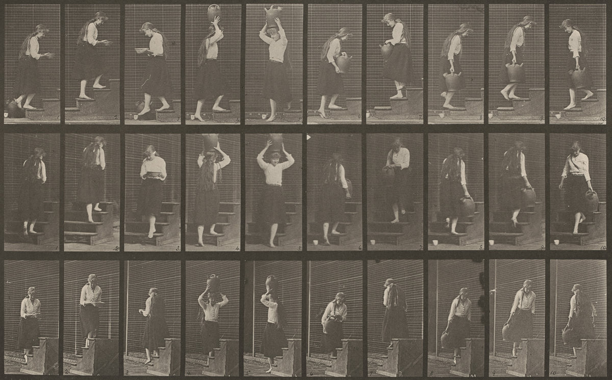 Plate Number 504. Ascending and descending stairs by Eadweard Muybridge (American, born England, 1830 - 1904), 16X12"(A3)Poster Print