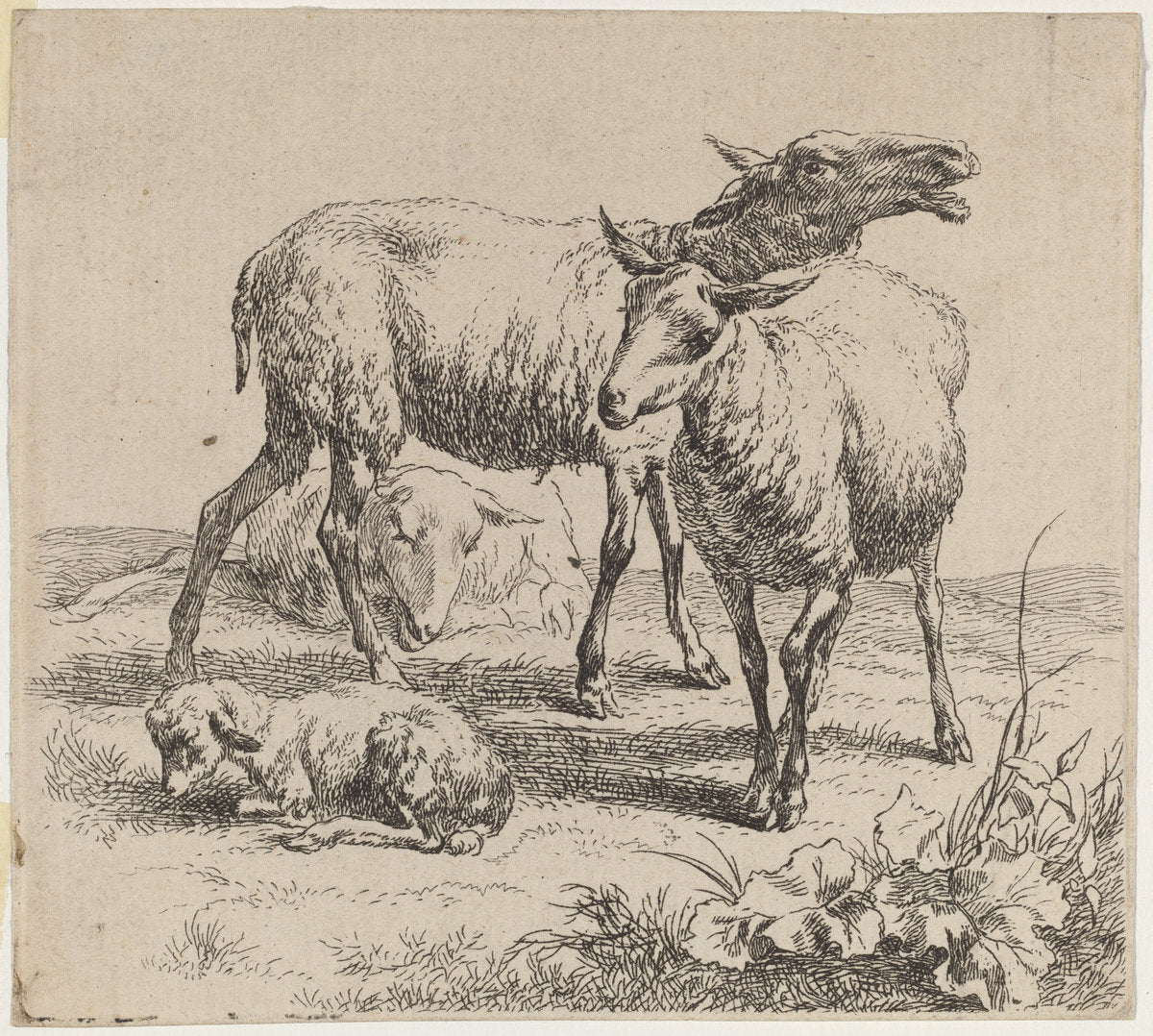 Three Sheep and a Lamb by Nicolaes Pietersz Berchem (Dutch, 1620 - 1683), 16X12"(A3)Poster Print