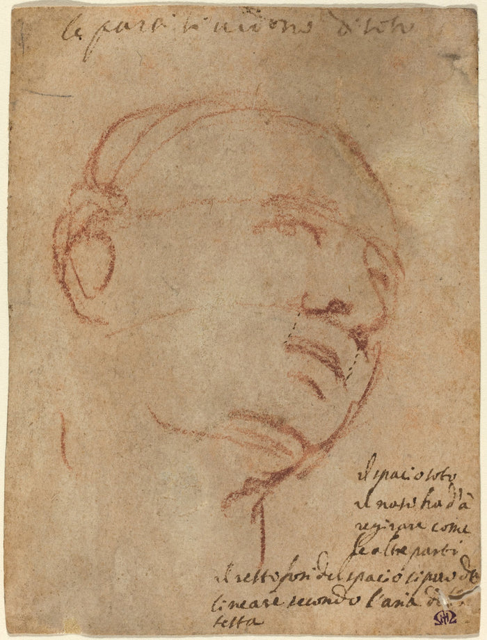 Head of a Man by Follower of Michelangelo (Florentine, 1475 - 1564), 16X12