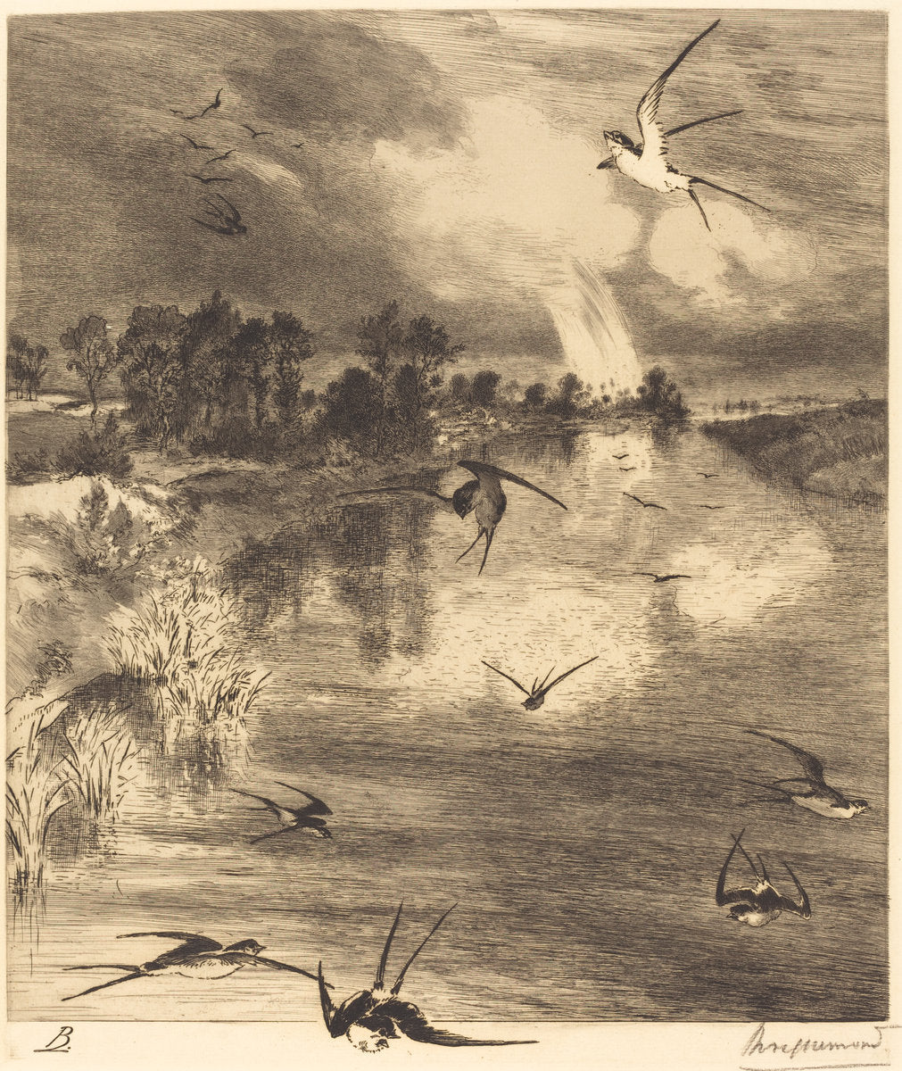 The Swallows by Félix Bracquemond (French, 1833 - 1914), 16X12"(A3)Poster Print