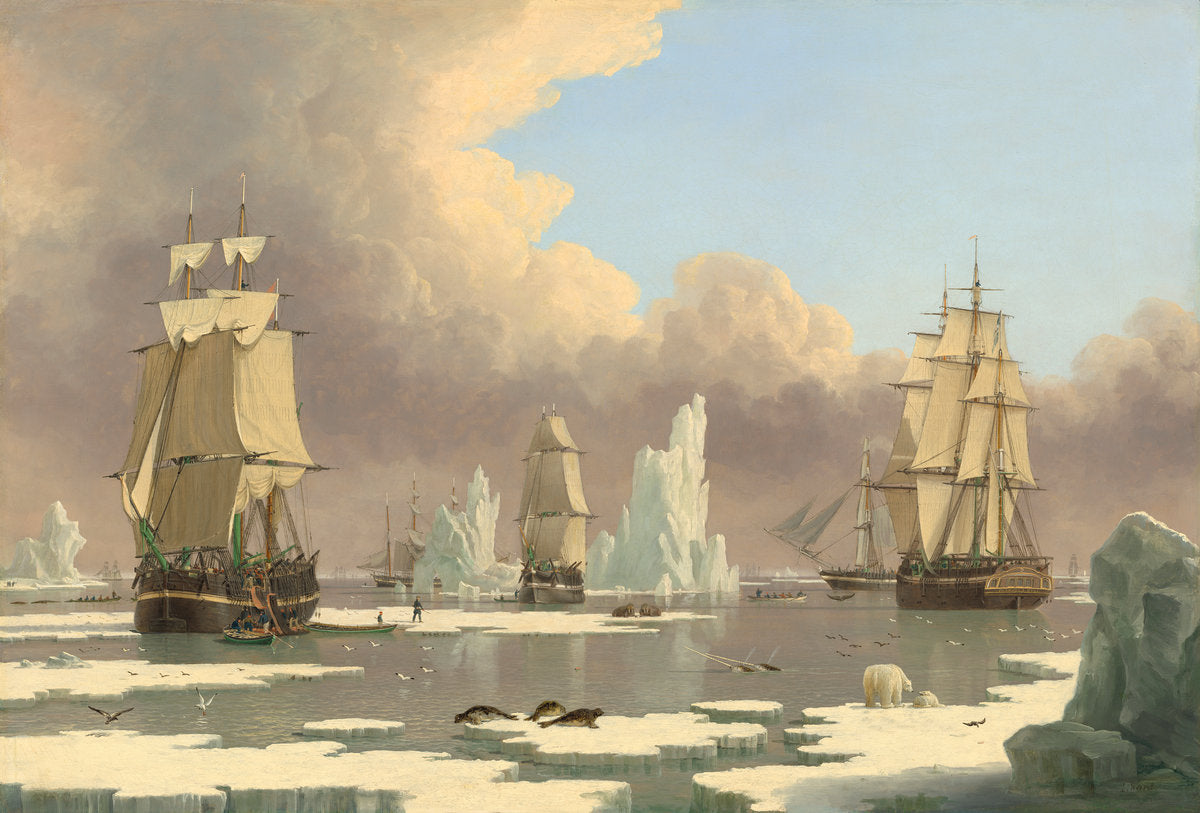 The Northern Whale Fishery: The "Swan" and "Isabella" by John Ward of Hull (British, 1798 - 1849), 16X12"(A3)Poster Print