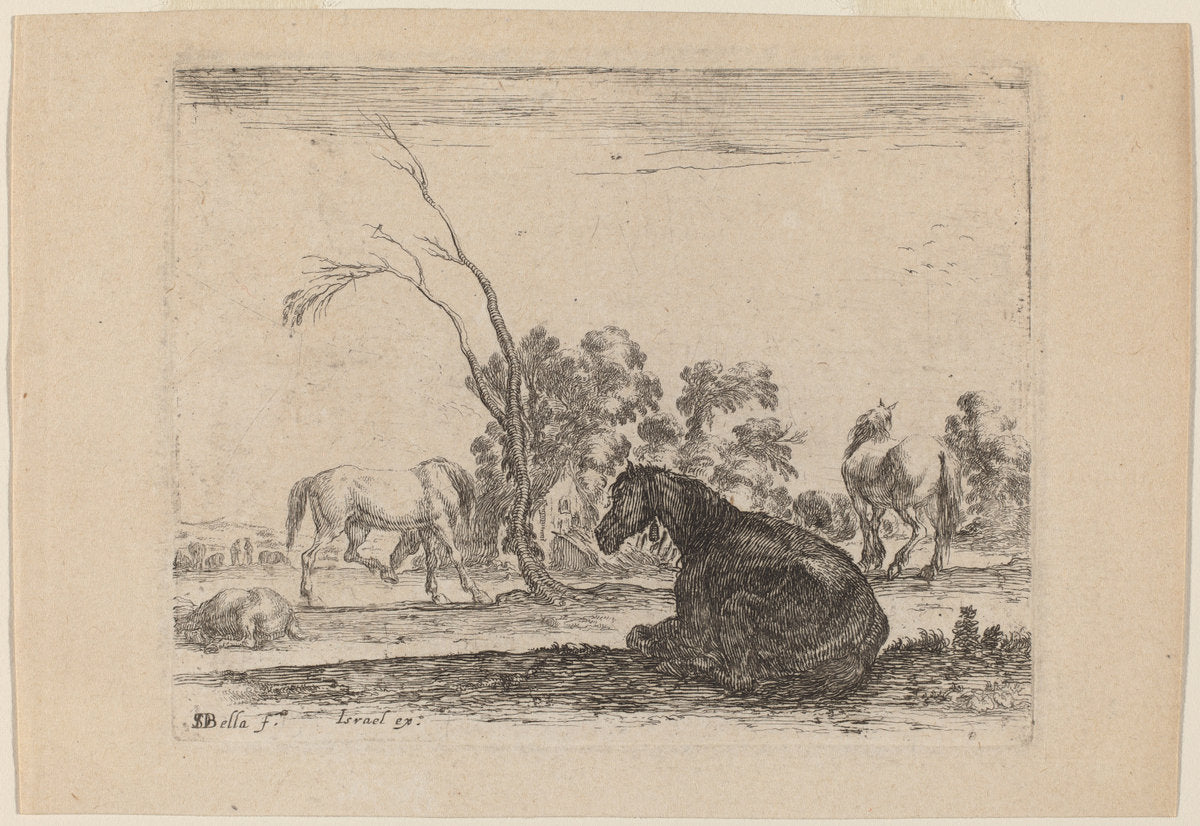 Horses in a Pasture by Stefano Della Bella (Italian, 1610 - 1664), 16X12"(A3)Poster Print