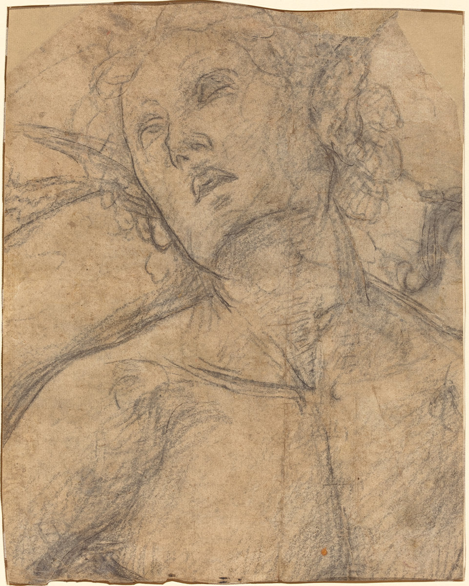 Bust of a Youth Looking Upward [recto] by Luca Signorelli (Umbrian, 1445/1450 - 1523), 16X12"(A3)Poster Print