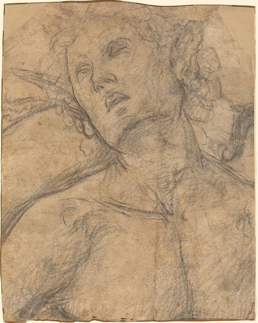 Bust of a Youth Looking Upward [recto] by Luca Signorelli (Umbrian, 1445/1450 - 1523), 16X12"(A3)Poster Print