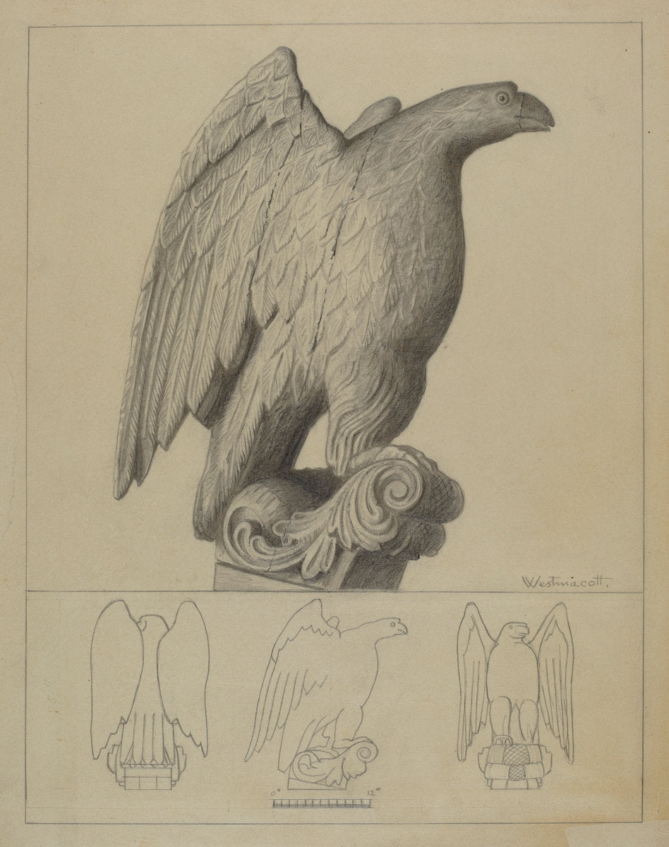 Eagle by Bernard Westmacott (American, active c. 1935), 16X12"(A3)Poster Print