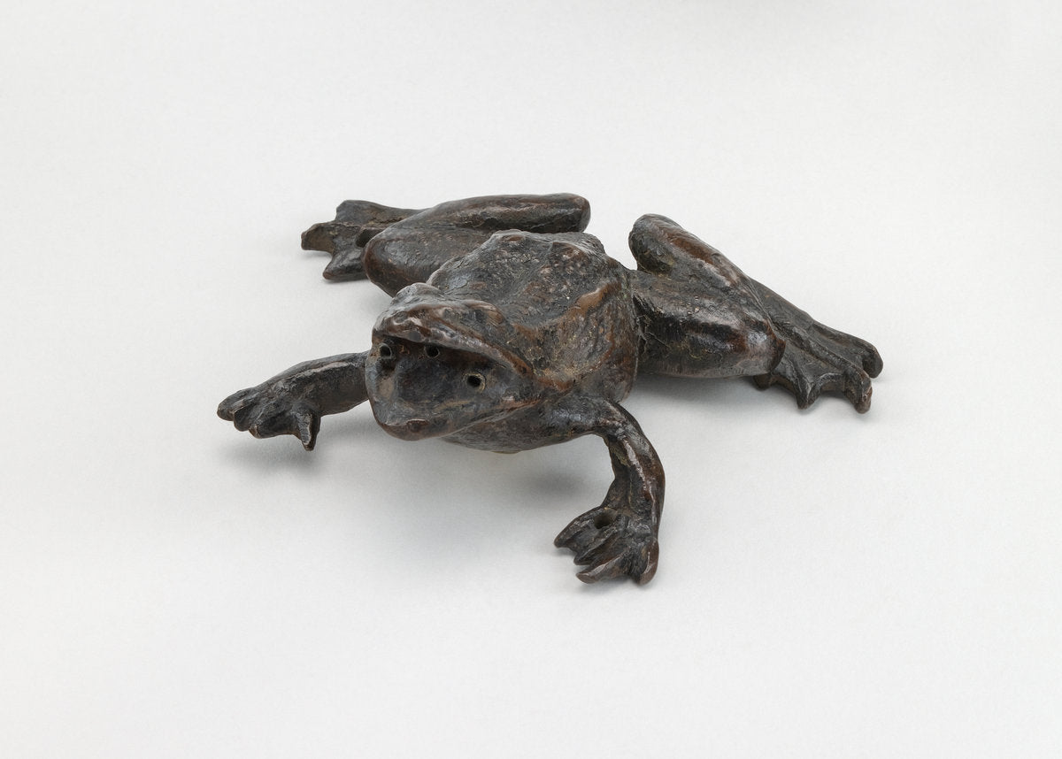 early 16th century by Paduan 16th Century (A Frog), 16X12"(A3)Poster Print