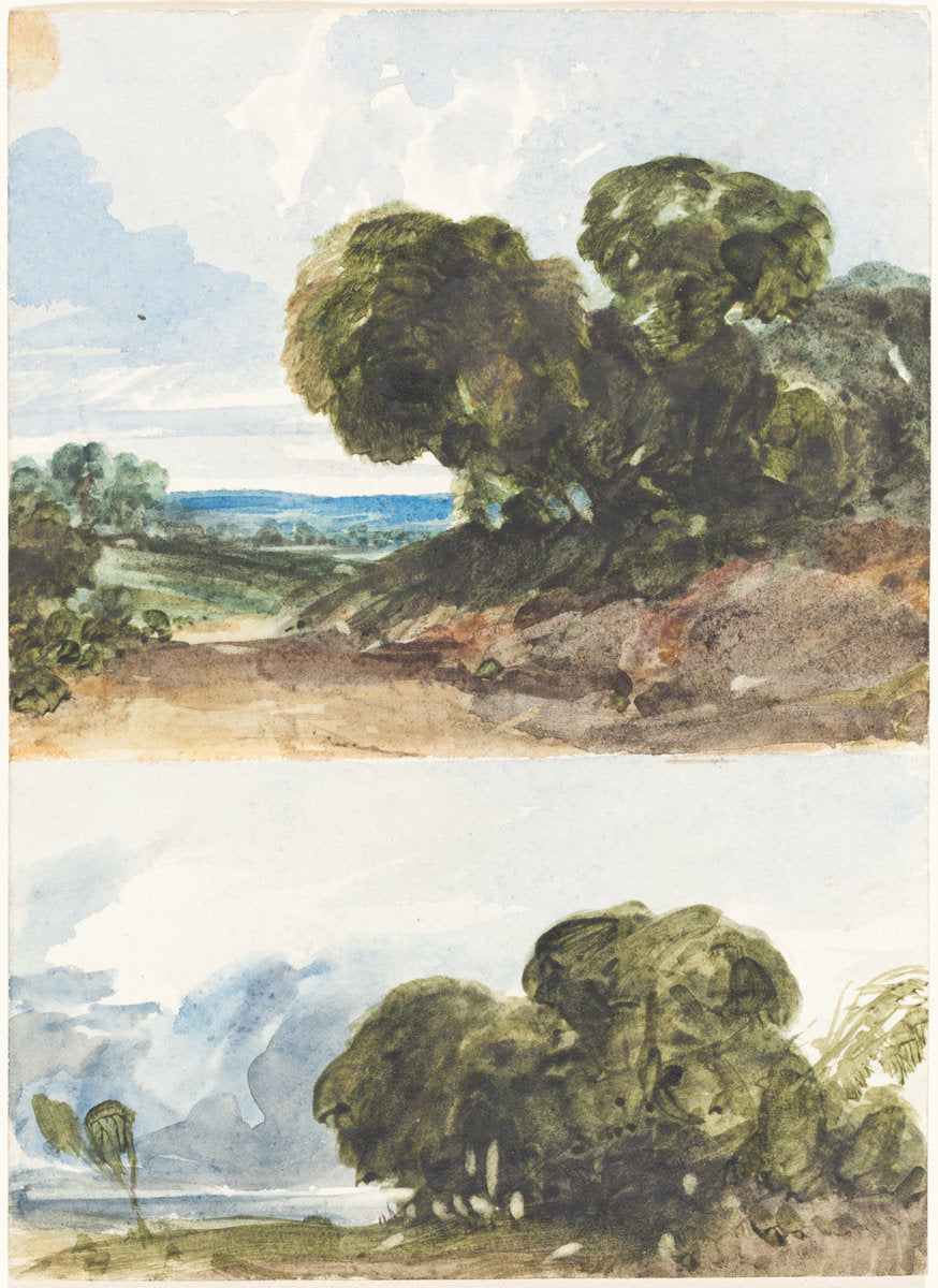 Two Sketches of Trees by Attributed to James Bulwer (British, 1794 - 1879), 16X12"(A3)Poster Print