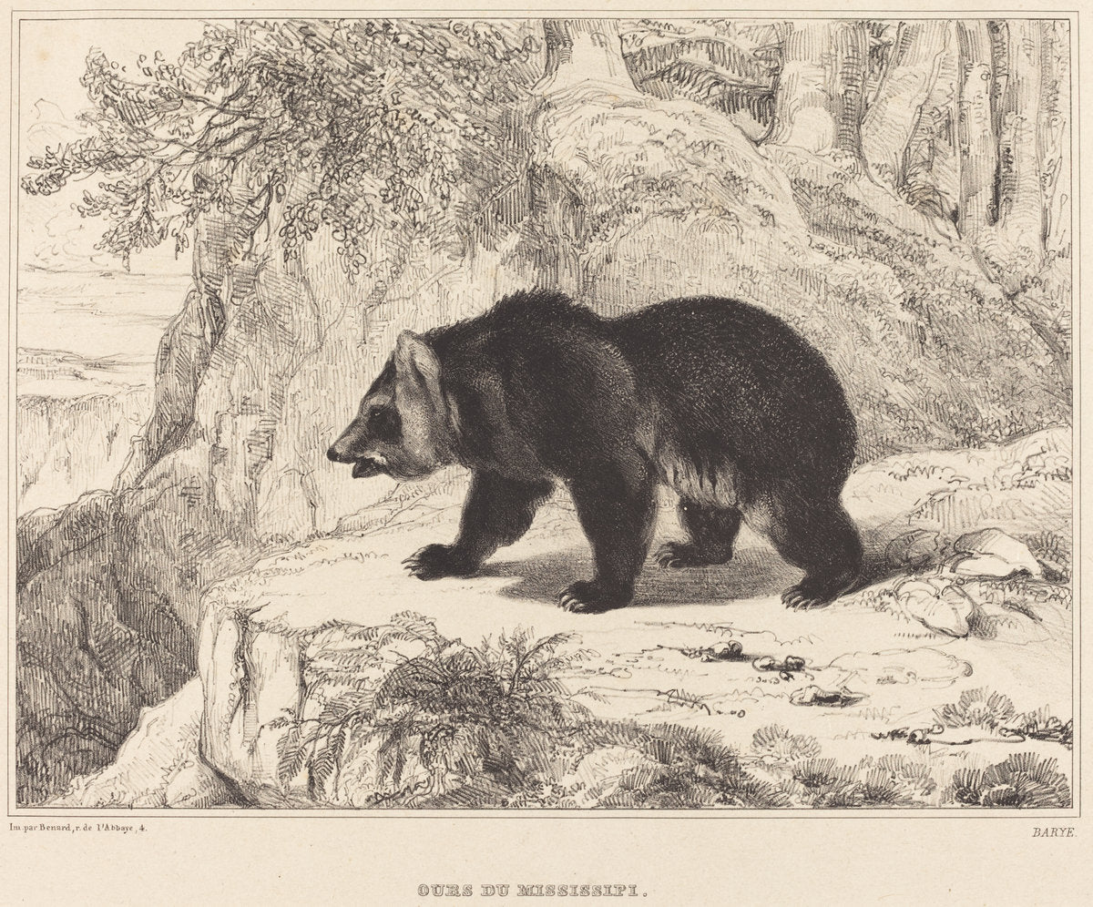 Mississippi Bear by Antoine-Louis Barye (French, 1795 - 1875), 16X12"(A3)Poster Print