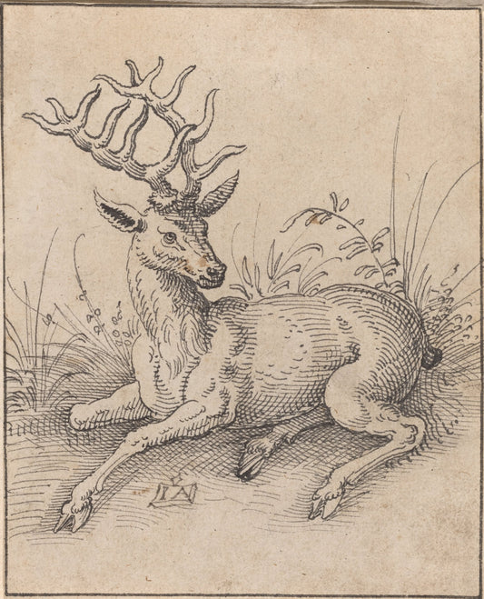 The Stag by Jost Amman (Swiss, 1539 - 1591), 16X12"(A3)Poster Print
