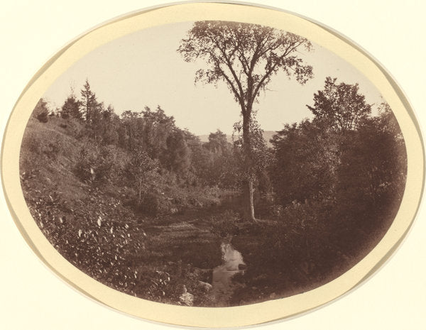 Landscape near Williams College by George K. Warren (American, 1834 - 1884), 16X12"(A3)Poster Print