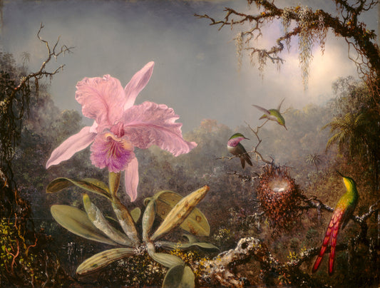 Cattleya Orchid and Three Hummingbirds by Martin Johnson Heade (American, 1819 - 1904), 16X12"(A3)Poster Print