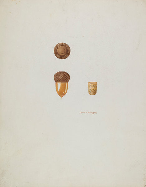 Thimble Case by David P Willoughby (American, active c. 1935), 16X12"(A3)Poster Print