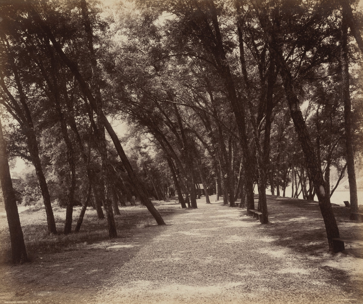 Picnic Grounds by William H. Rau (American, 1855 - 1920), 16X12"(A3)Poster Print