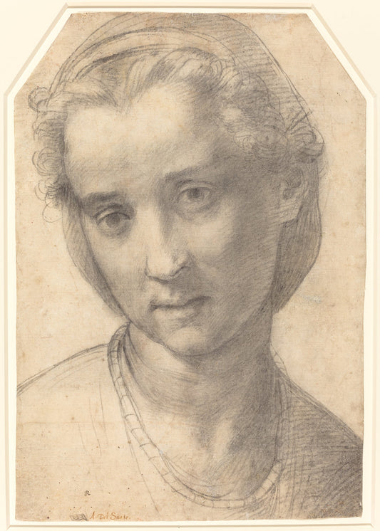 Head of a Woman by Andrea del Sarto (Florentine, 1486 - 1530), 16X12"(A3)Poster Print
