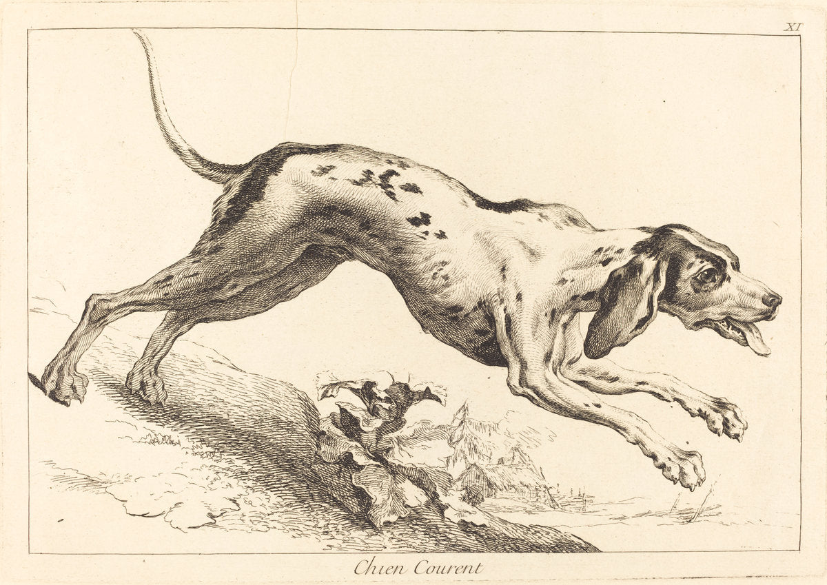 Chien courent (Running Hound) by Jacques-Philippe Le Bas and Jean Eric Rehn after Jean-Baptiste Oudry (French, 1707 - 1783), 16X12"(A3)Poster Print