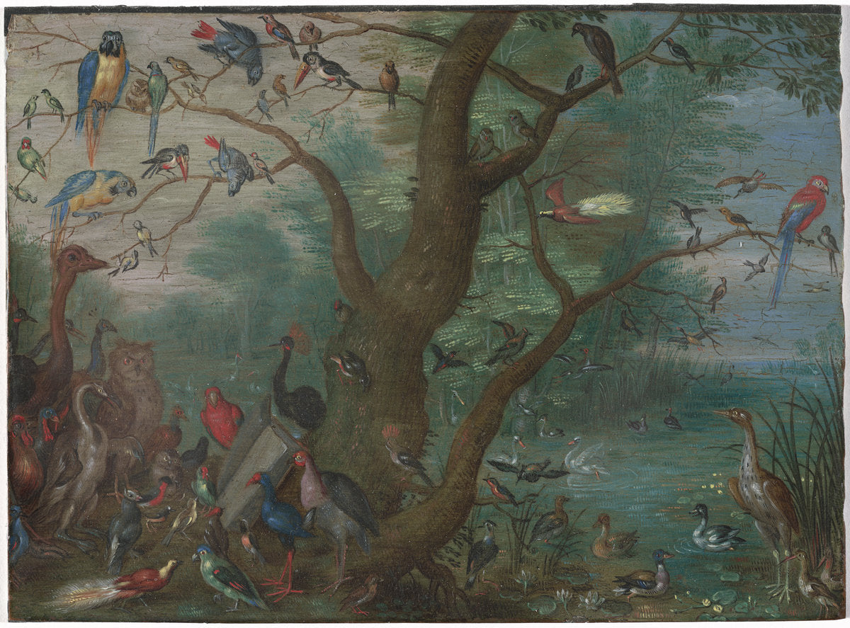 1660/1670 by Circle of Jan van Kessel (Concert of Birds), 16X12"(A3)Poster Print