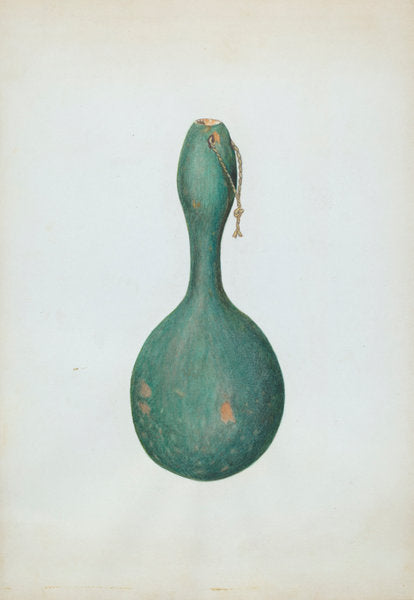 Gourd Bottle by Sydney Roberts (American, active c. 1935), 16X12"(A3)Poster Print