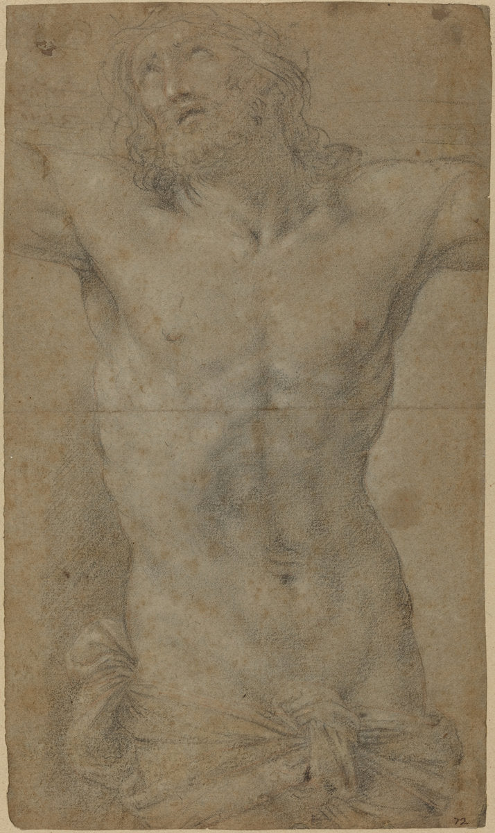 Torso of Christ on the Cross by Attributed to Guido Reni (Bolognese, 1575 - 1642), 16X12"(A3)Poster Print