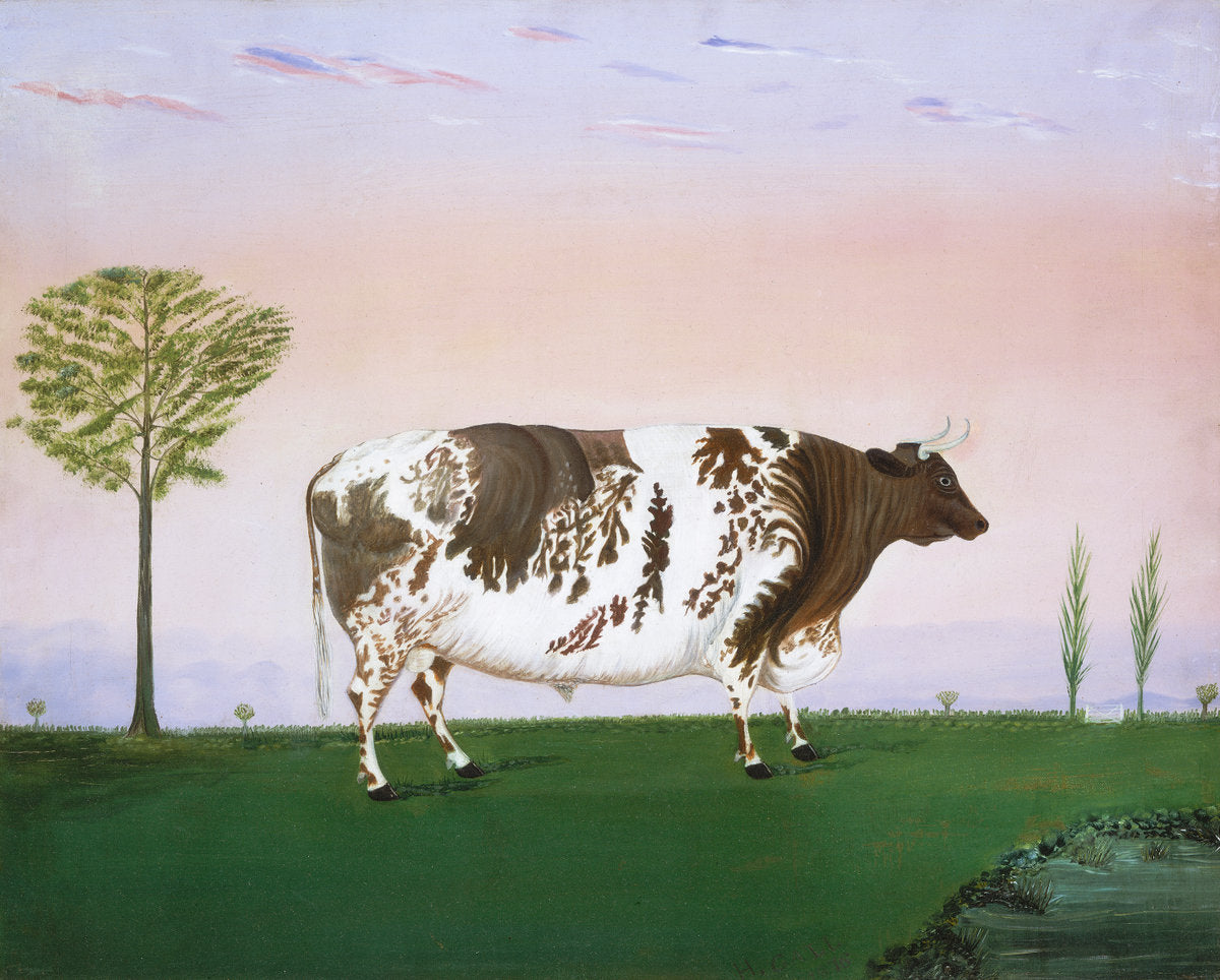 Prize Bull by H. Call (American, active 1876), 16X12"(A3)Poster Print