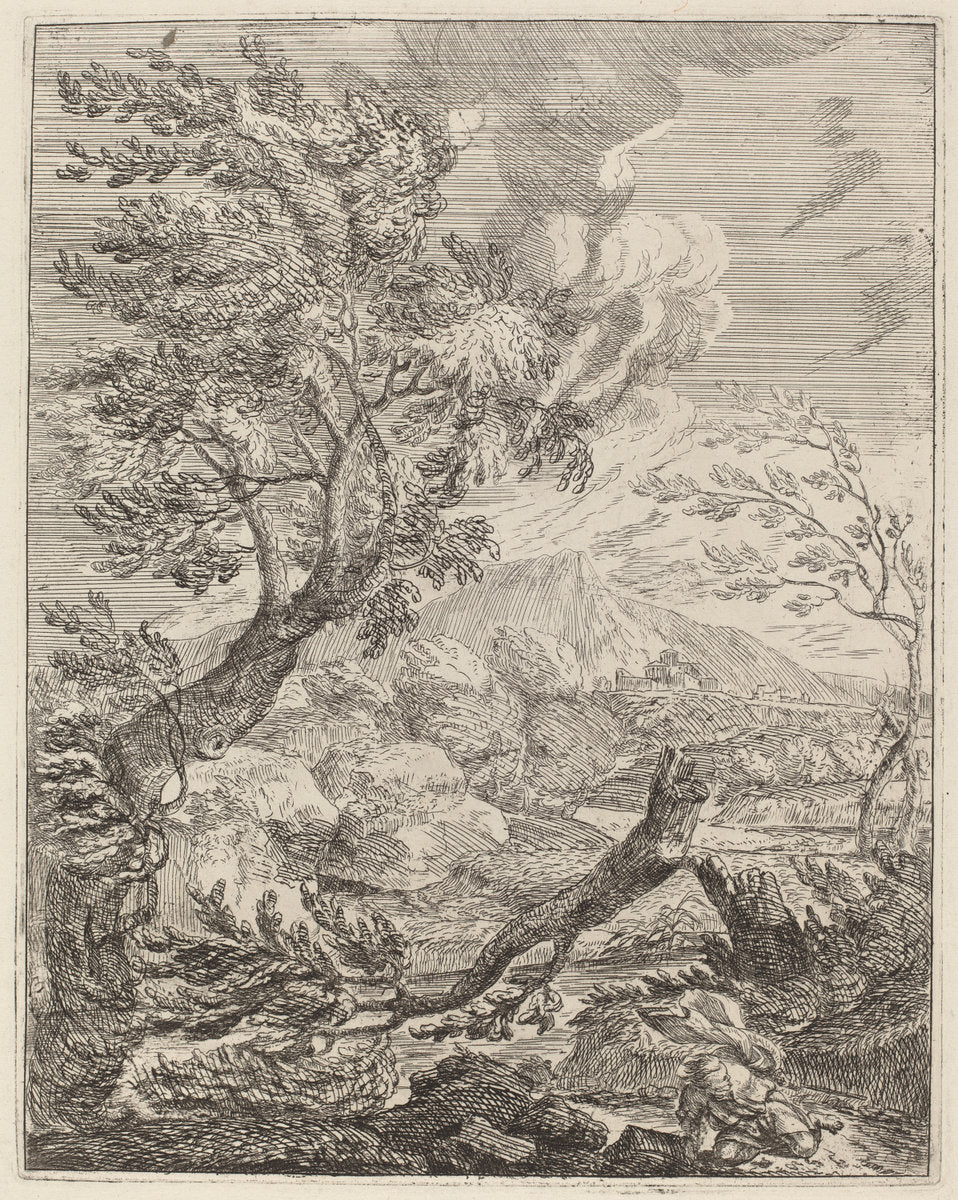 The Withered Tree by Crescenzio Onofri (Italian, probably 1632 - 1712 or after), 16X12"(A3)Poster Print