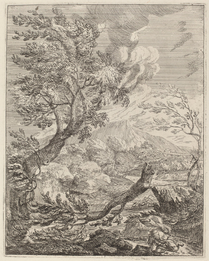 The Withered Tree by Crescenzio Onofri (Italian, probably 1632 - 1712 or after), 16X12