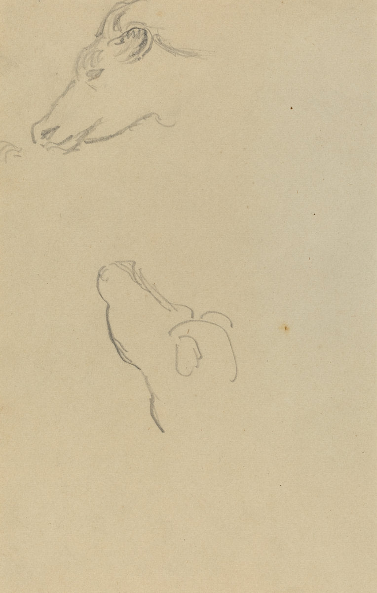 Head of a Cow [recto] by Paul Gauguin (French, 1848 - 1903), 16X12"(A3)Poster Print