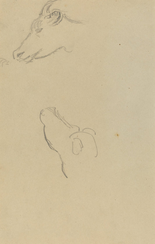 Head of a Cow [recto] by Paul Gauguin (French, 1848 - 1903), 16X12"(A3)Poster Print