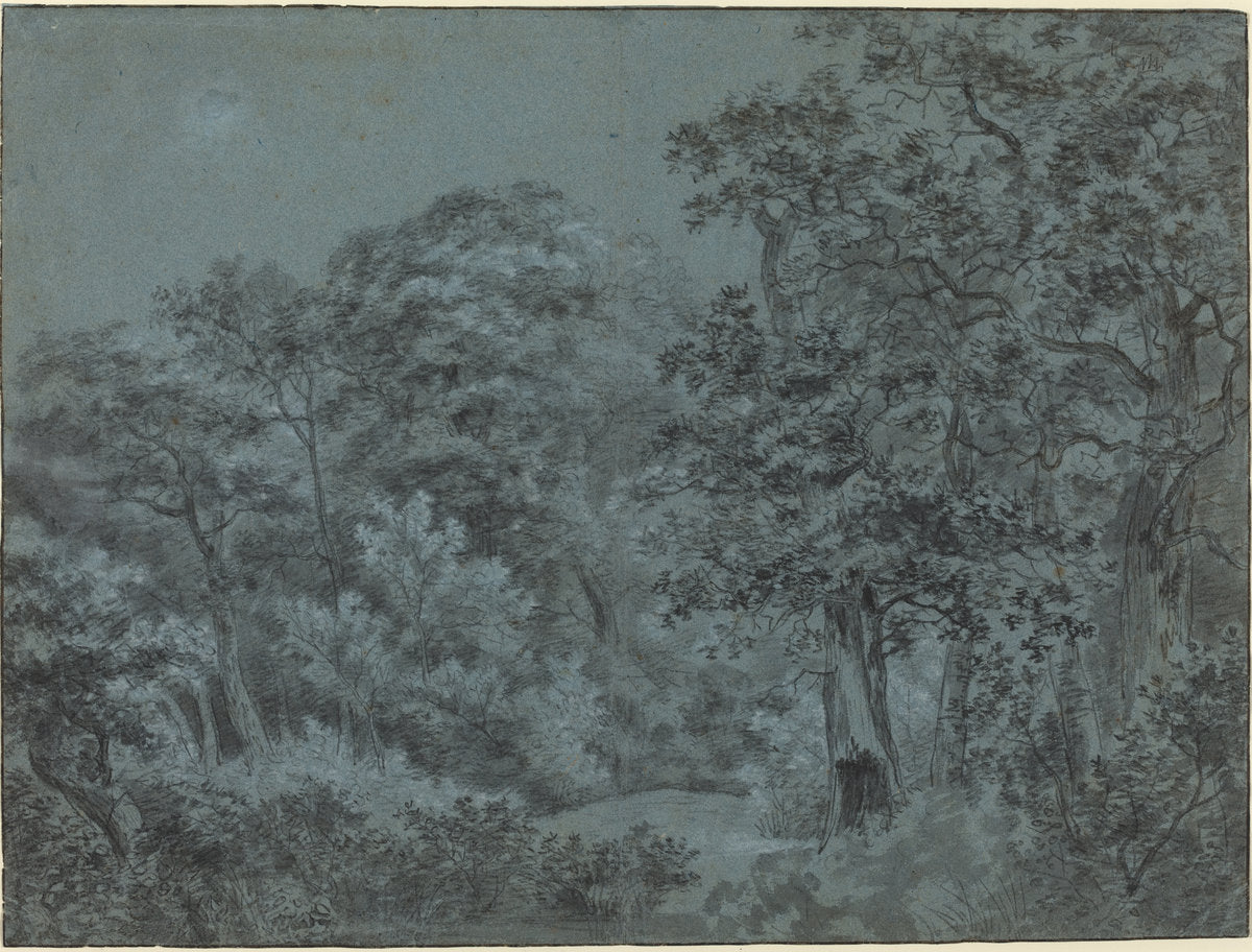 In the Hague Woods by Simon de Vlieger (Dutch, 1600/1601 - 1653), 16X12"(A3)Poster Print