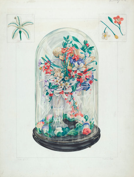 Wool Flowers Under Glass by Frank J. Mace (American, active c. 1935), 16X12"(A3)Poster Print